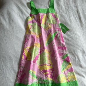 NWT Lilly Pulitzer Astor Dress “In a Flutter” print